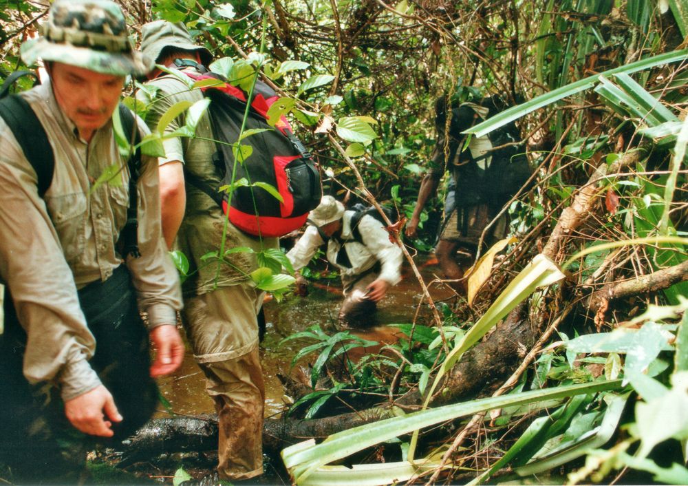 Trekking im Regenwald von West Papua