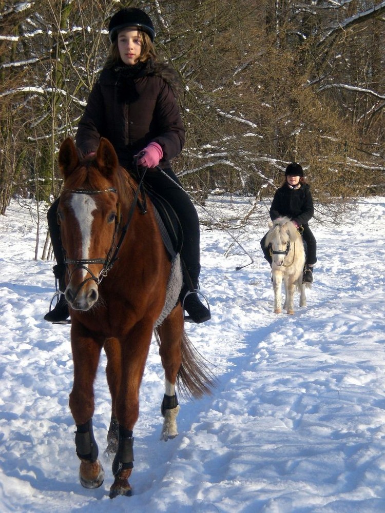 Trekking im Schnee