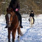 Trekking im Schnee