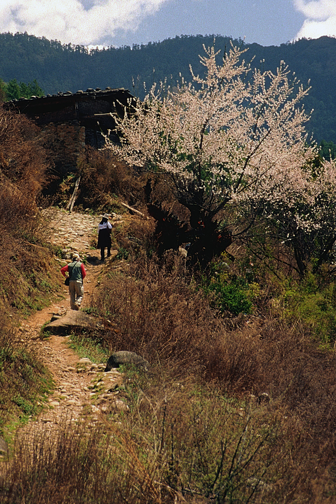 Trekking in Bumthang