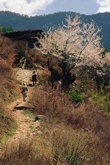 Trekking in Bumthang
