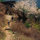 Trekking in Bumthang