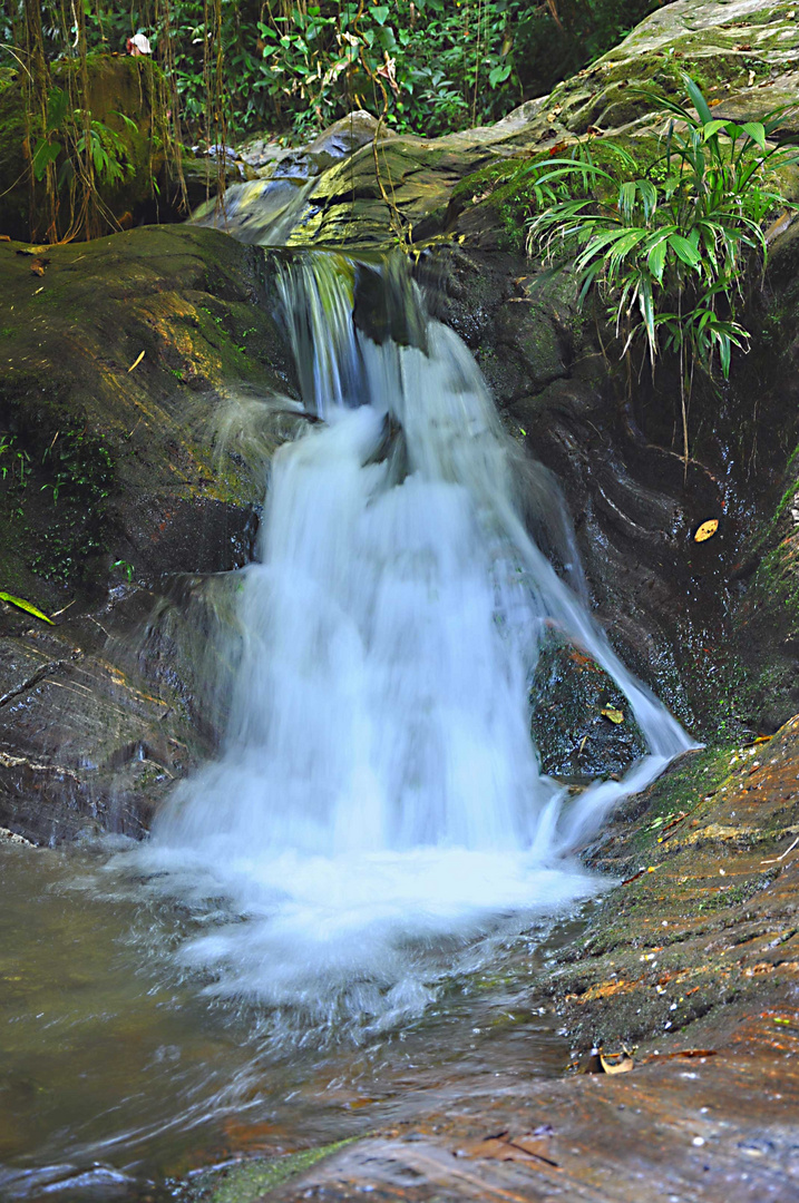 trekking in columbia II