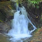 trekking in columbia II