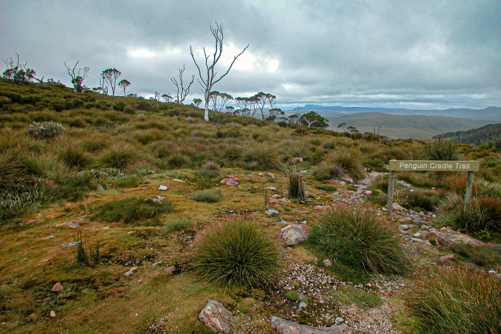 Trekking in the Cradle Mountain