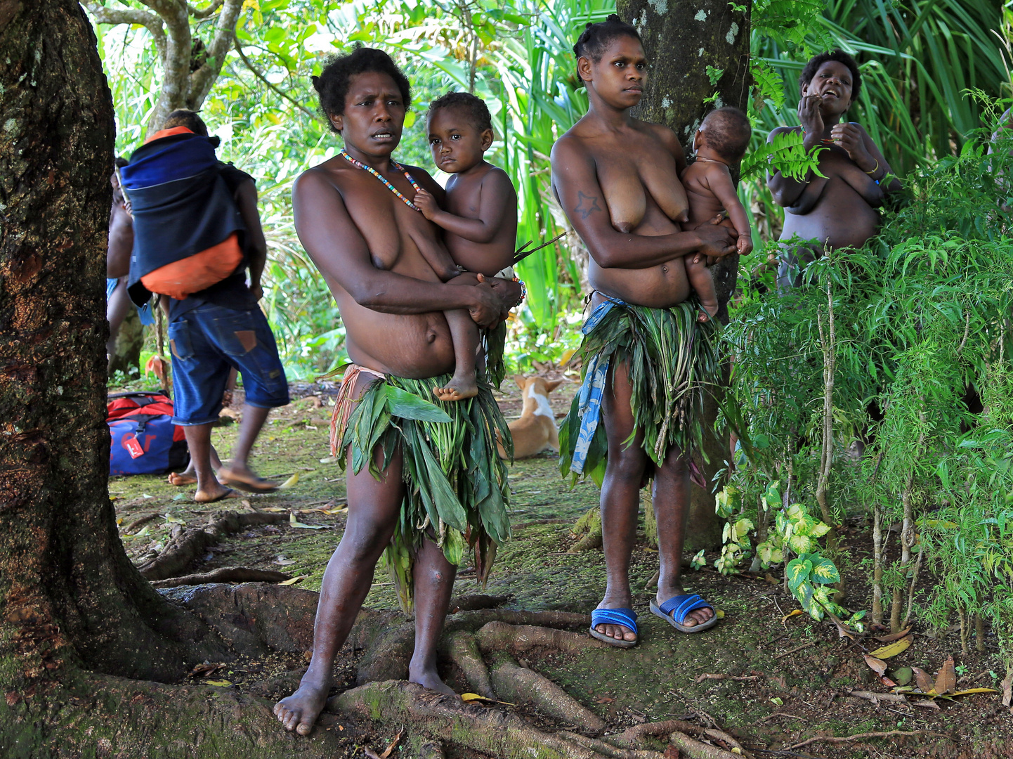 Trekking Insel Espirito Santo