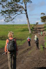 Trekking nel Tsitsikamma National Park