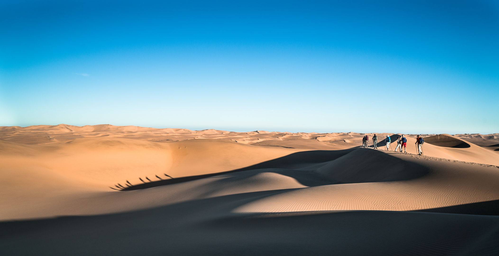 Trekking through the Namib Desert