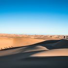 Trekking through the Namib Desert