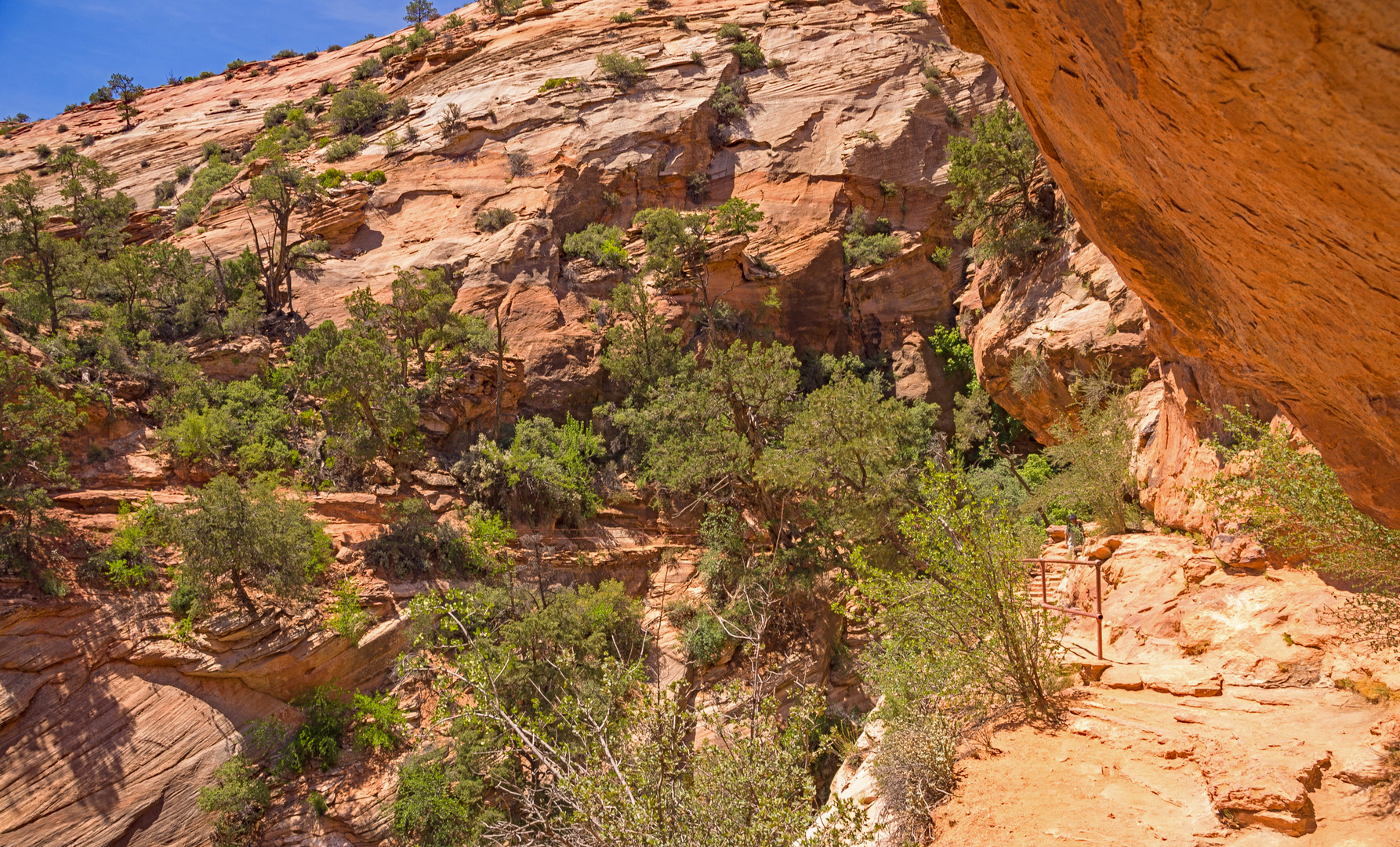 Trekking-Trail durch die "warme" Wand