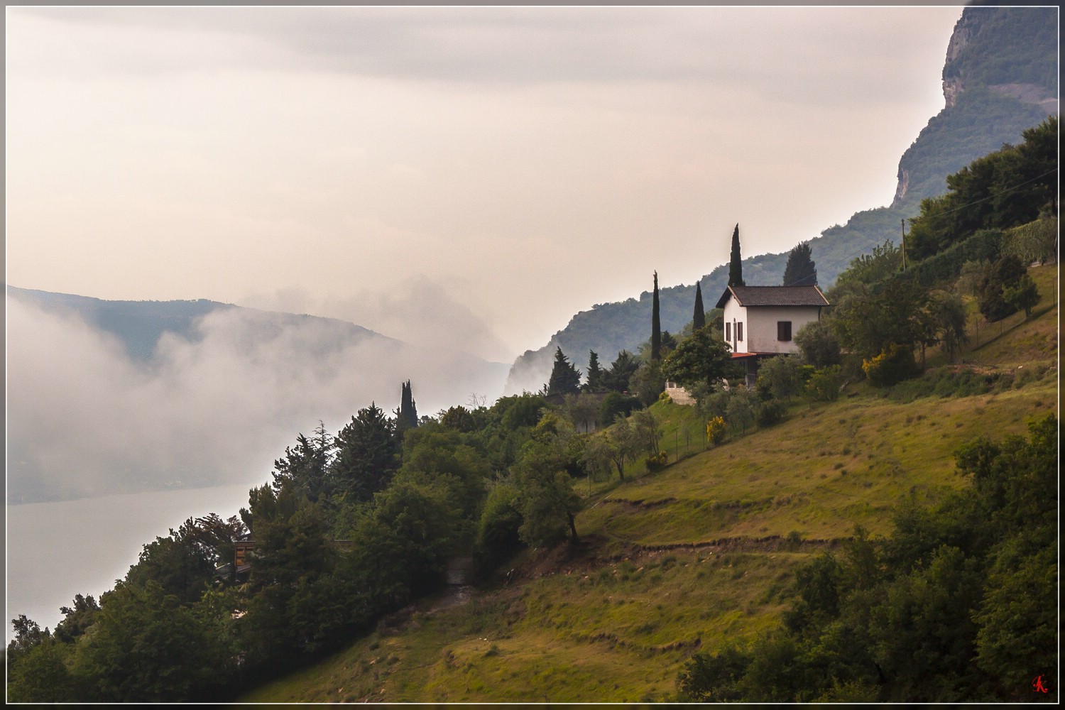 Tremosine