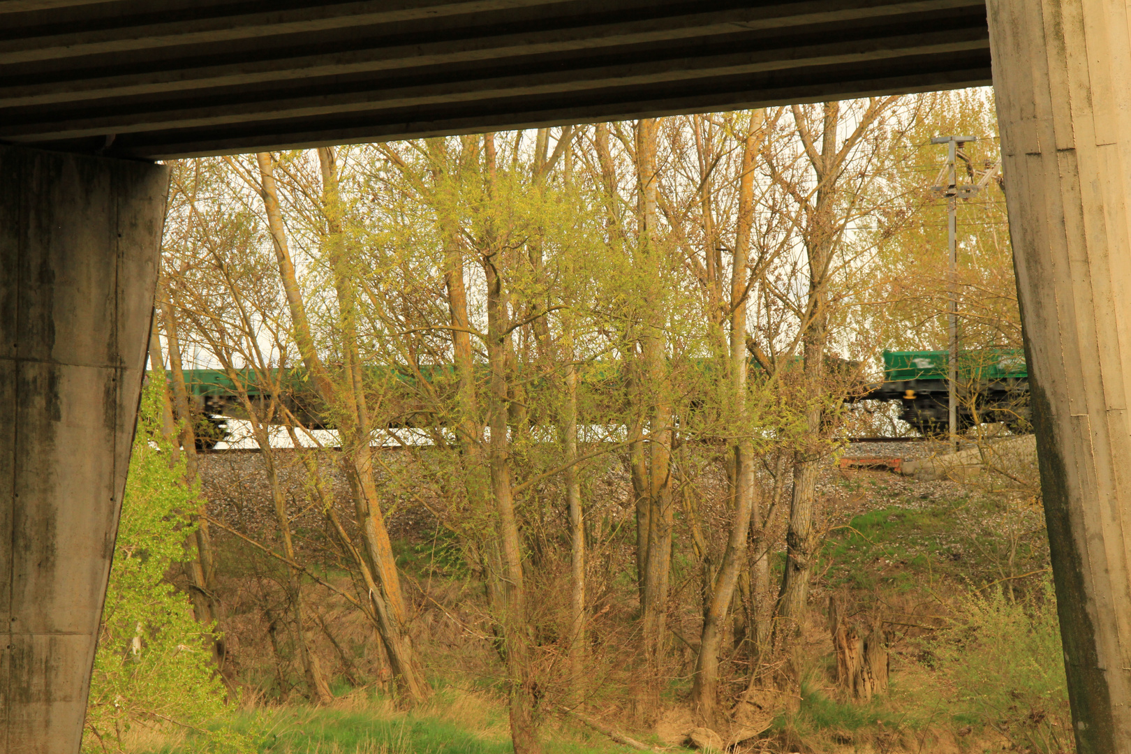 TREN A TRAVES DEL PUENTE