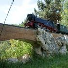 Tren de Jardin