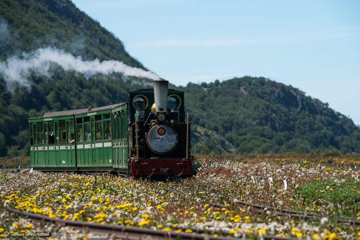 Tren Del Fin Del Mundo 