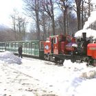 Tren del fin del mundo-Ushuaia-Argentina