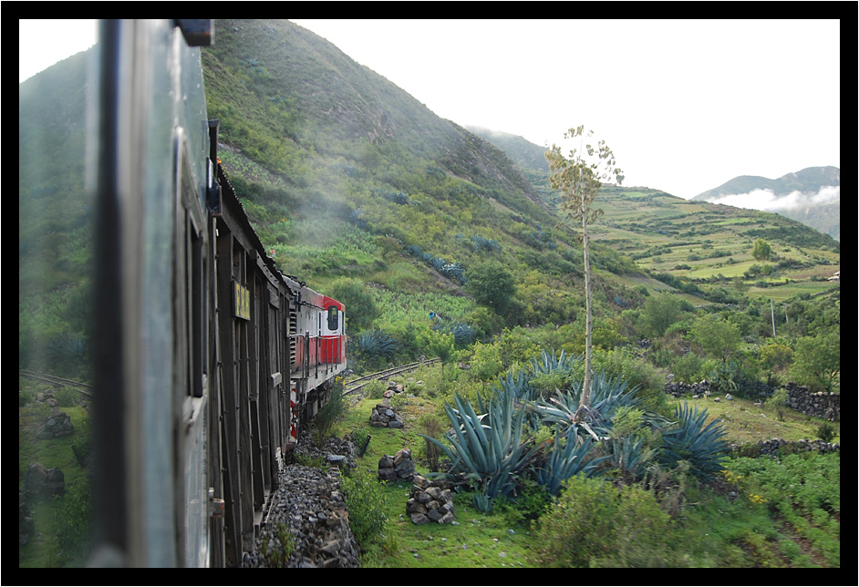 Tren Macho (2): Unterwegs