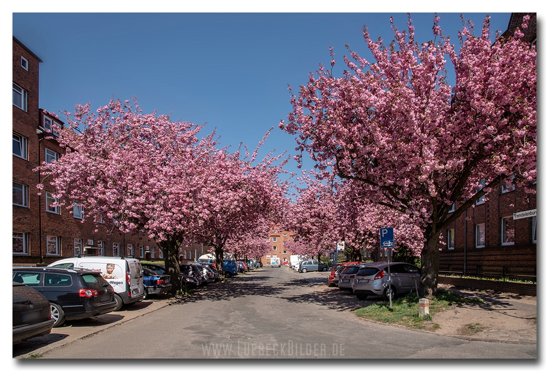 Trendelenburgstraße