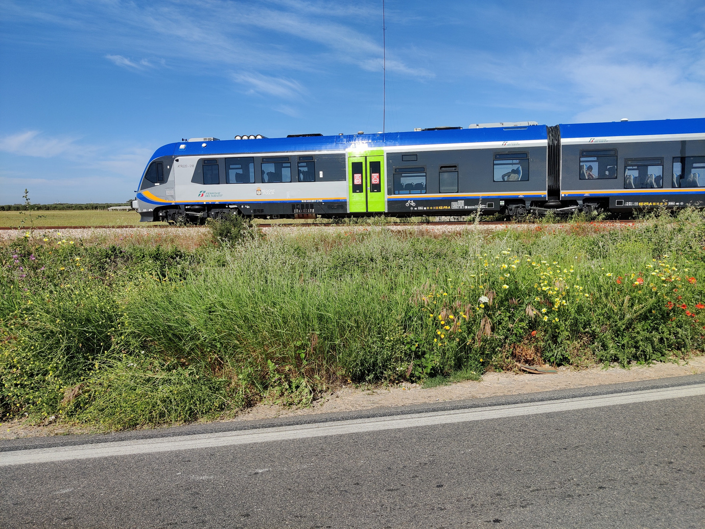 Treni della Sud-Est in Salento