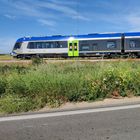 Treni della Sud-Est in Salento