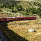 trenino del Bernina