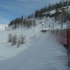 trenino rosso del bernina