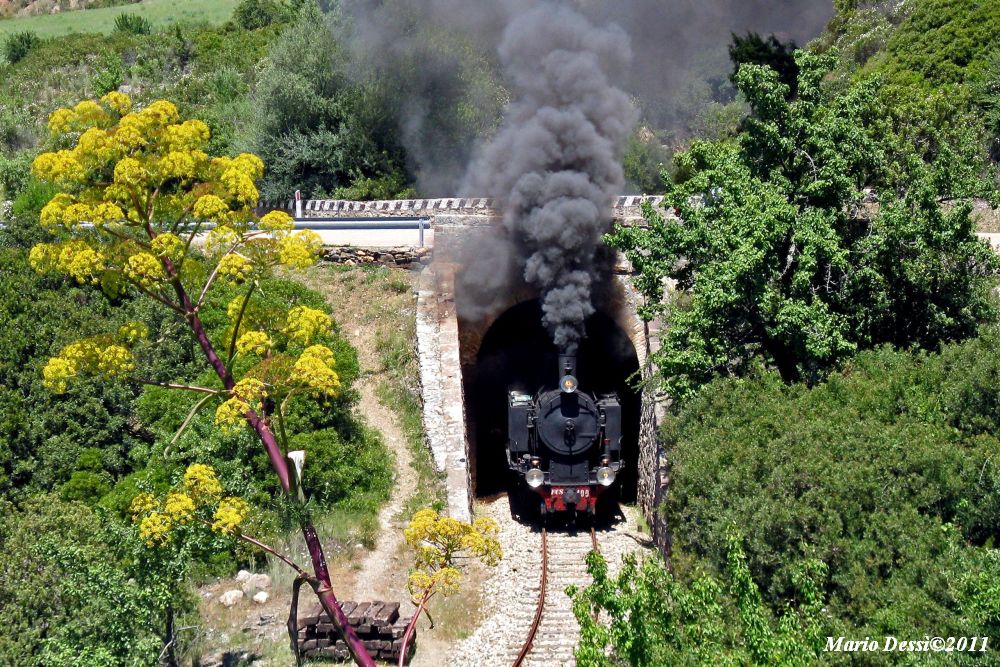 Trenino Verde