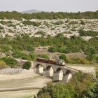 Trenino Verde / Sardinien