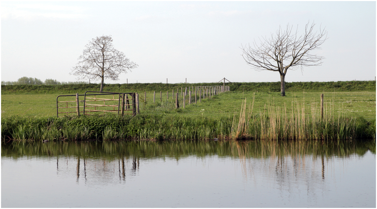 trennendes:verbindendes