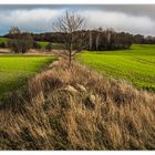 Trennstreifen mit Baum