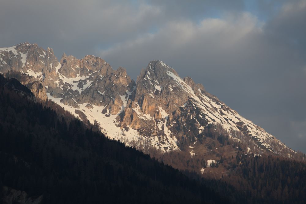 Trentino I