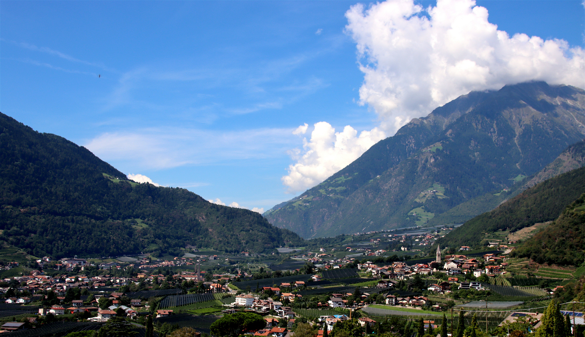 ~  Trentino-Südtirol  ~