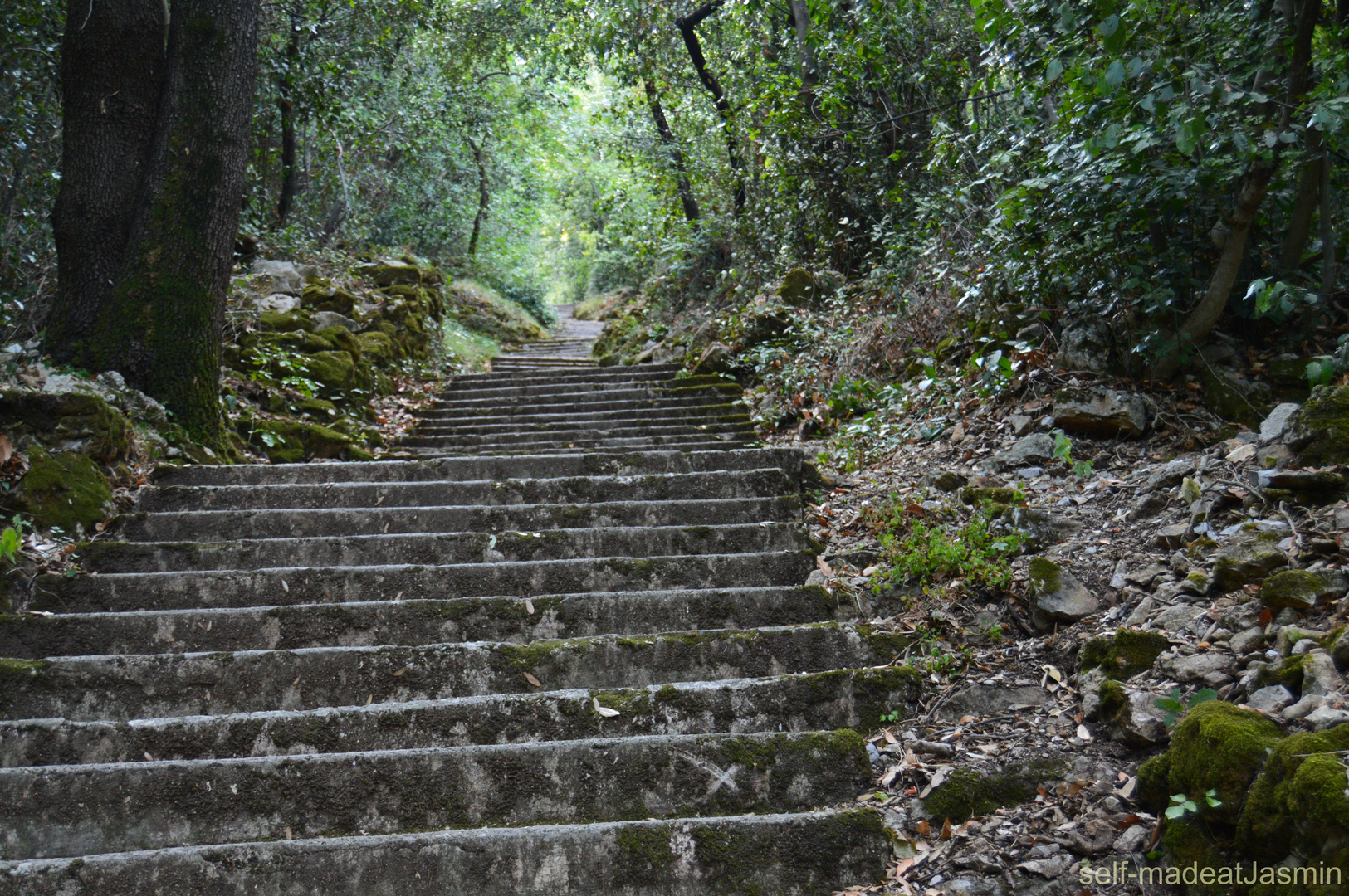 Treppe