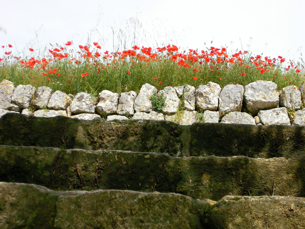 Treppe