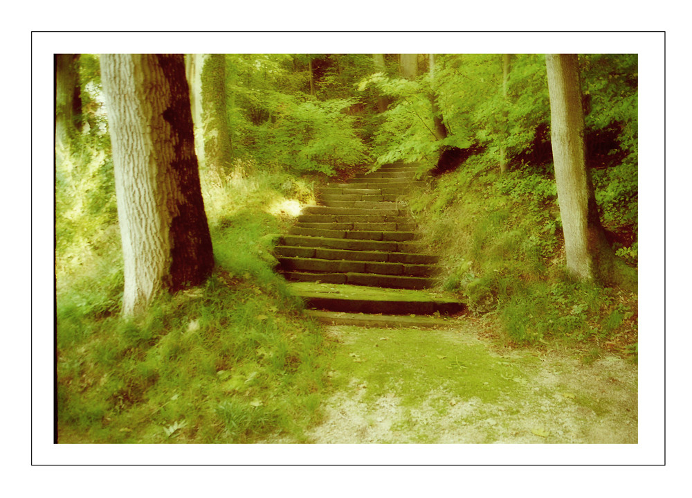 -Treppe-