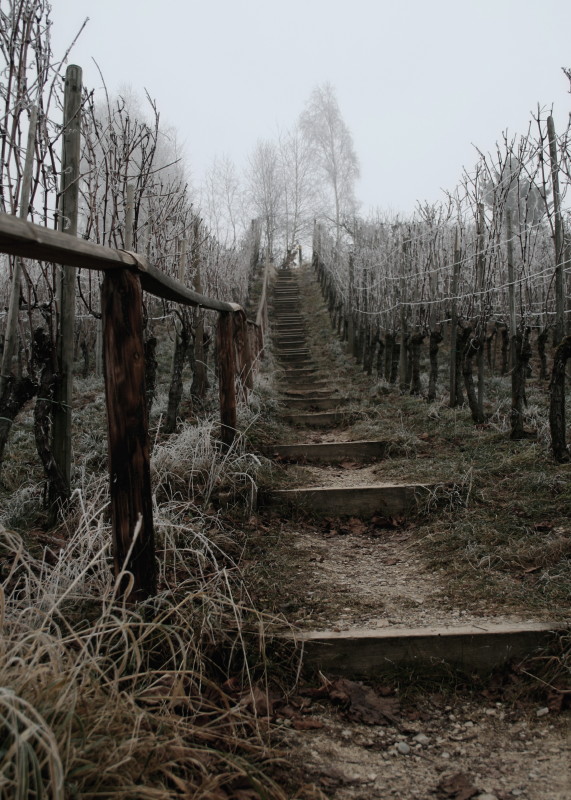 Treppe am Berg