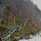 Treppe am Königsstuhl