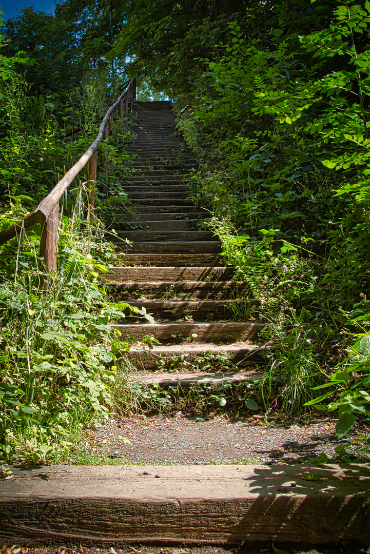 Treppe am Königstein