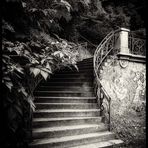 Treppe am Neumühlener Kirchweg, Hamburg (s/w)