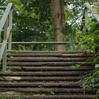 Treppe am Stausee in Beyenburg (Wuppertal)