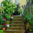 Treppe an der Herler Burg