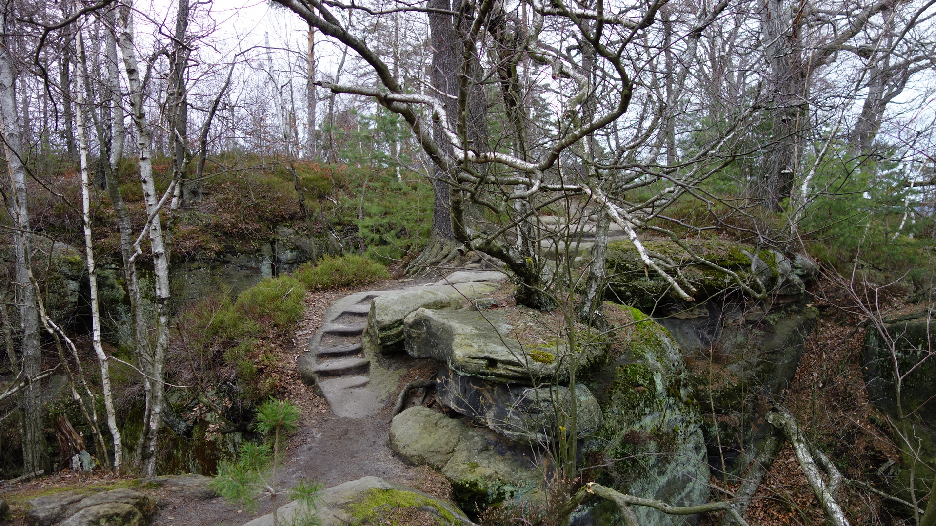 Treppe auf dem Pfaffenstein