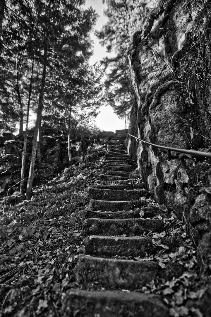 Treppe B&W