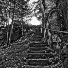 Treppe B&W