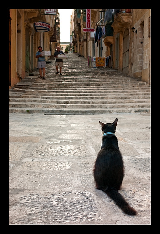 Treppe