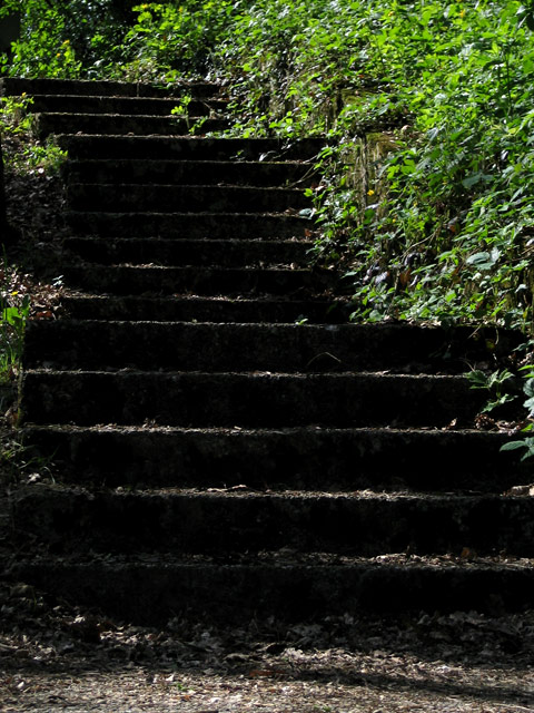 treppe