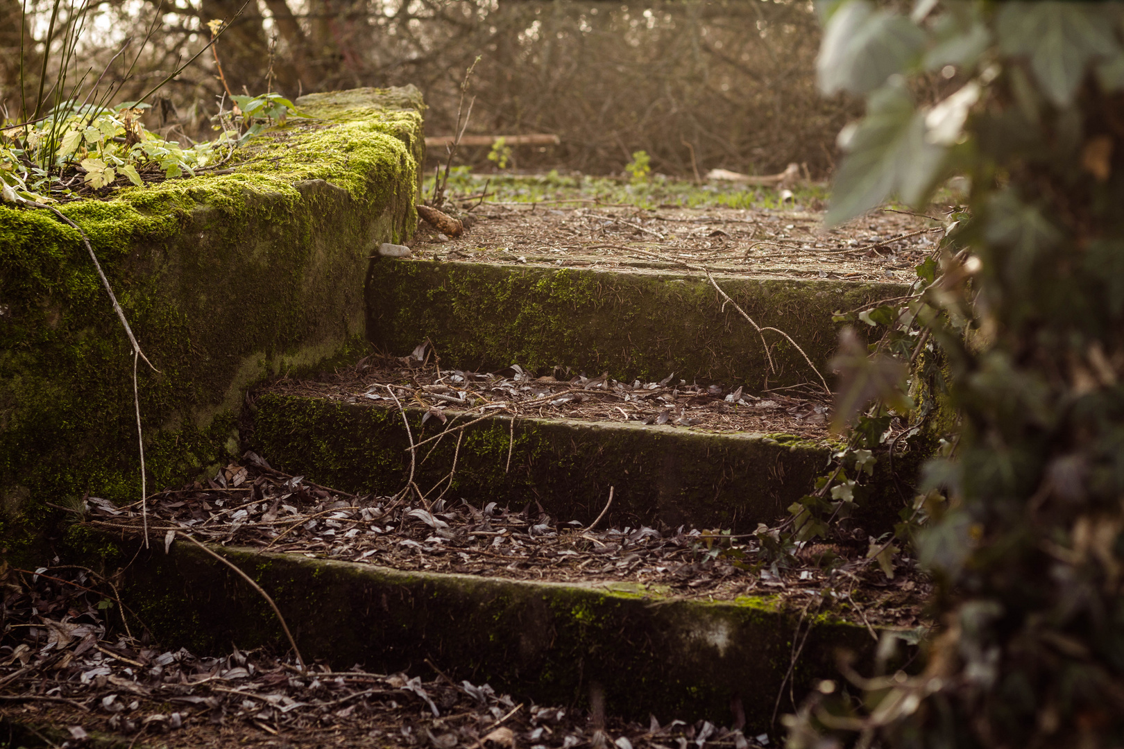 Treppe