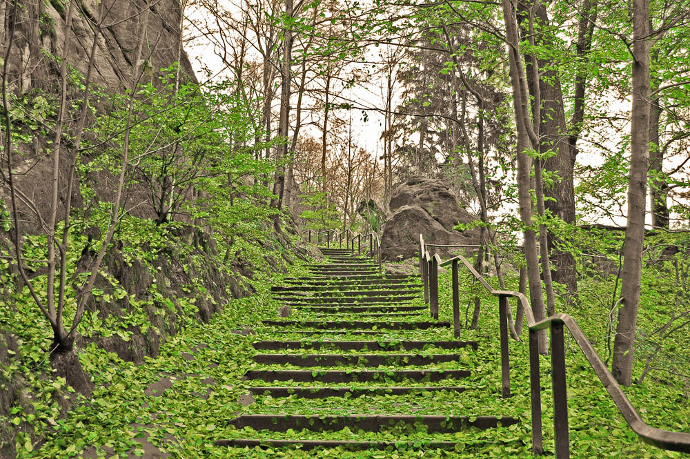 Treppe der grünen Blätter
