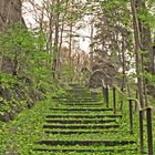 Treppe der grünen Blätter