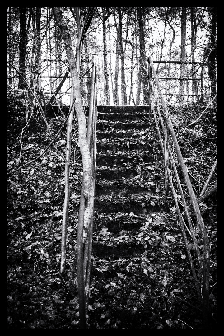 Treppe des Vergessens - Stairway of oblivion