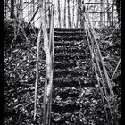 Treppe des Vergessens - Stairway of oblivion